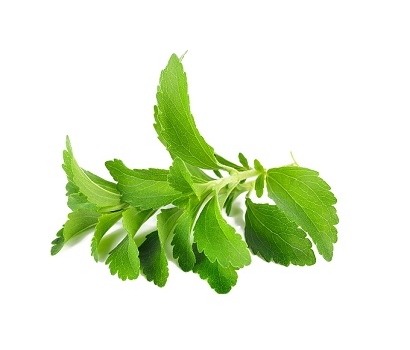 有機新鮮甜菊 (純葉) (100公克)