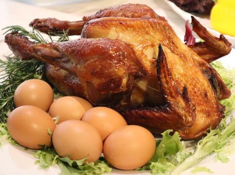 花蓮獨特新品種🔸Gaea格雅雞-新鮮上市